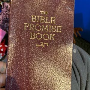 Bible book
